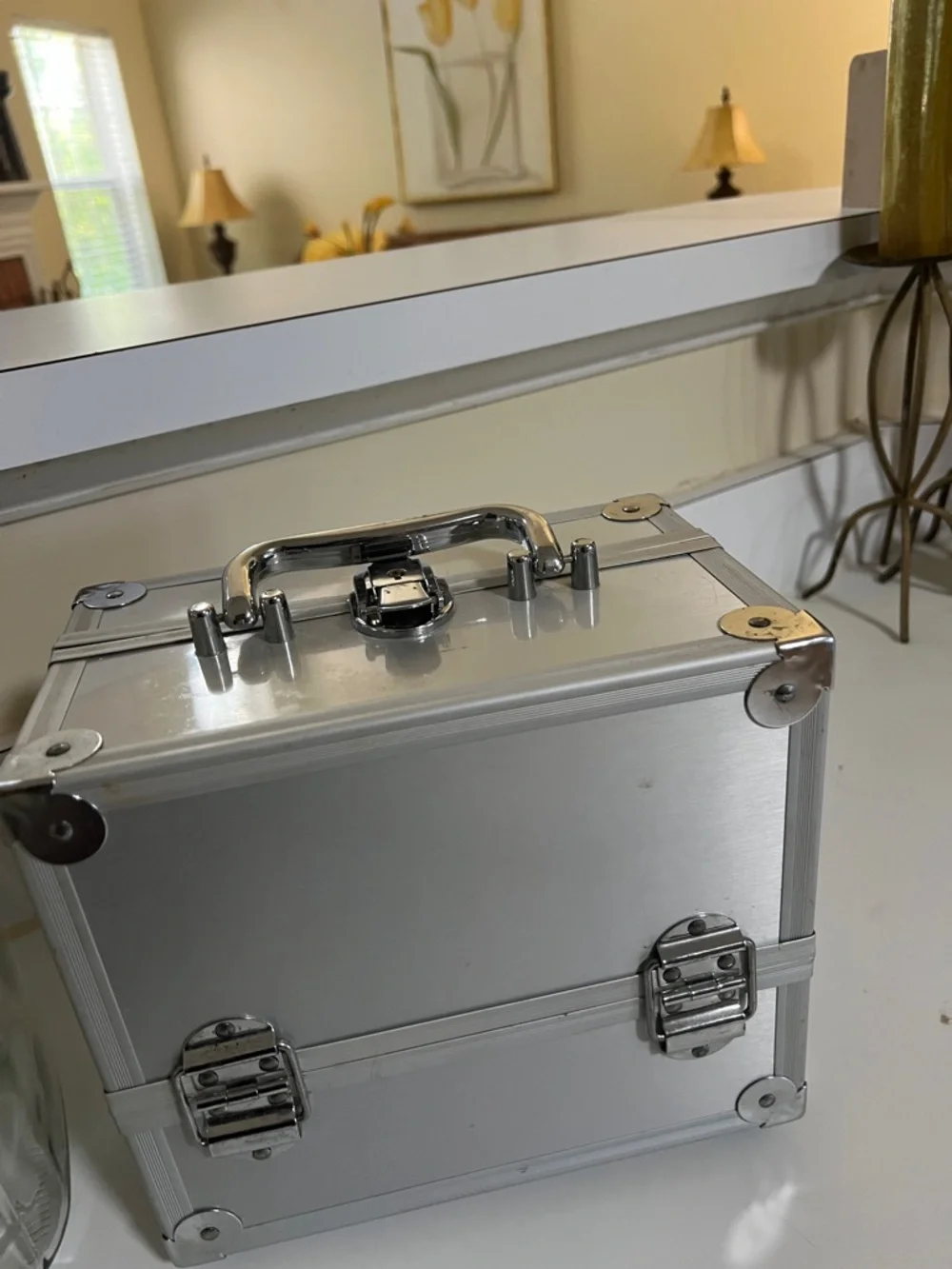 Silver Aluminum Makeup Train Case – Compact Storage Box